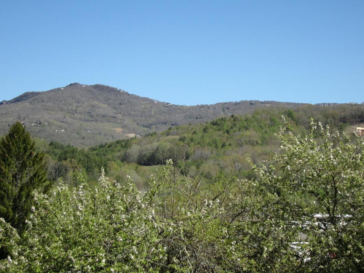 Apple Orchard Getaway Near Beech & Sugar Mtns #3 Banner Elk Exterior foto